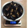 frysta kokta musslor med hel skal